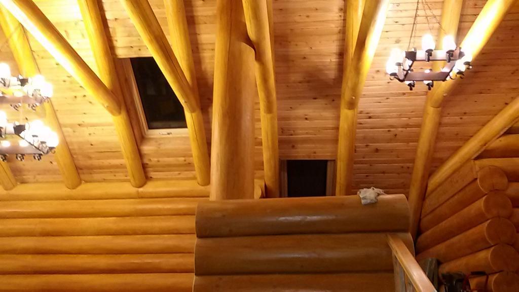 Pensiunea Izbucul Tauz Ghetari エクステリア 写真